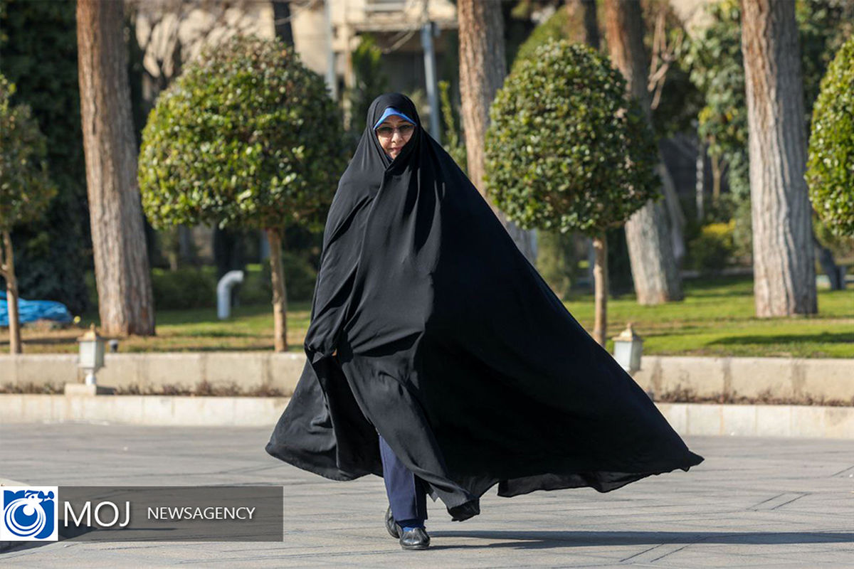 معاون رئیس جمهور