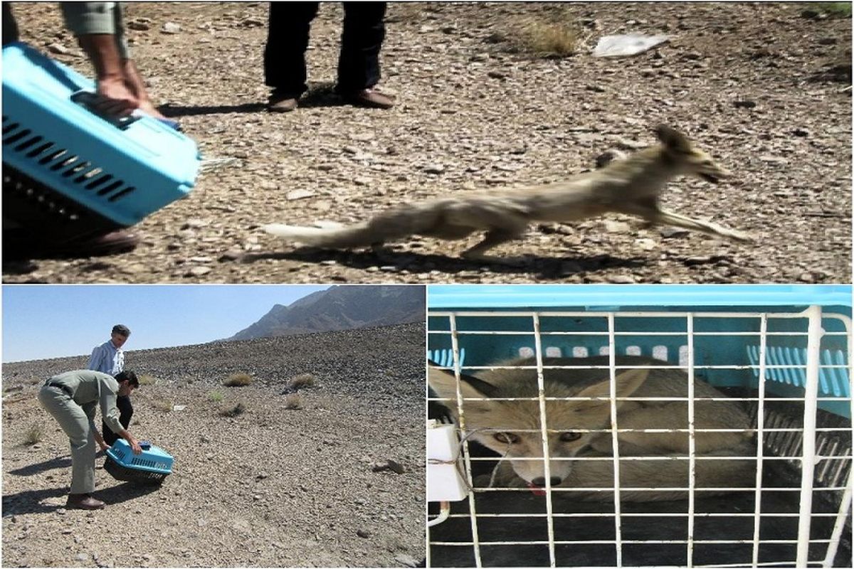 اصفهان- اداره حفاظت محیط زیست