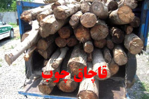 شناسایی، ضبط و پلمب  ۱۵ انبار تاغ غیر مجاز در نیشابور