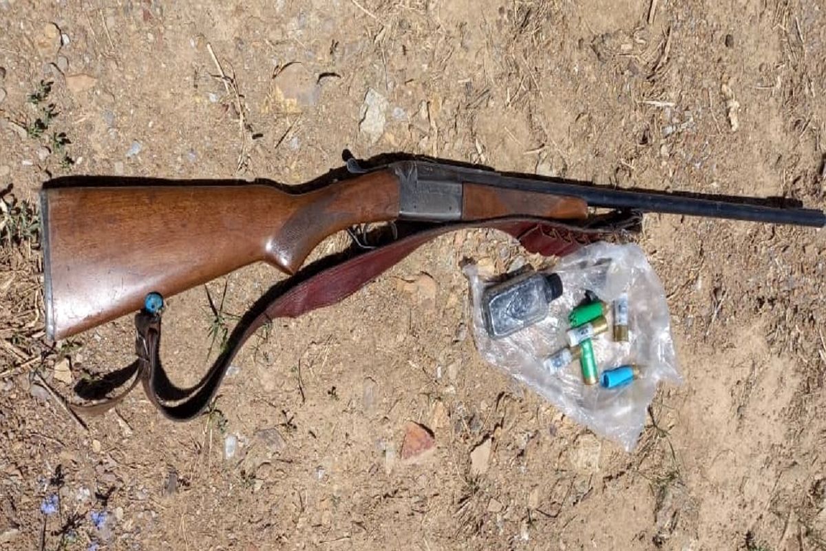 کشف اسلحه شکاری