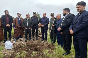 آئین کاشت سه هزار نهال امید در شرکت نکاچوب برگزار شد