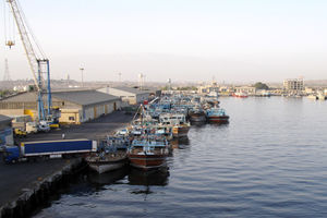 عملیات بهسازی اسکله شیلاتی شهیدباهنر بندرعباس شروع شد