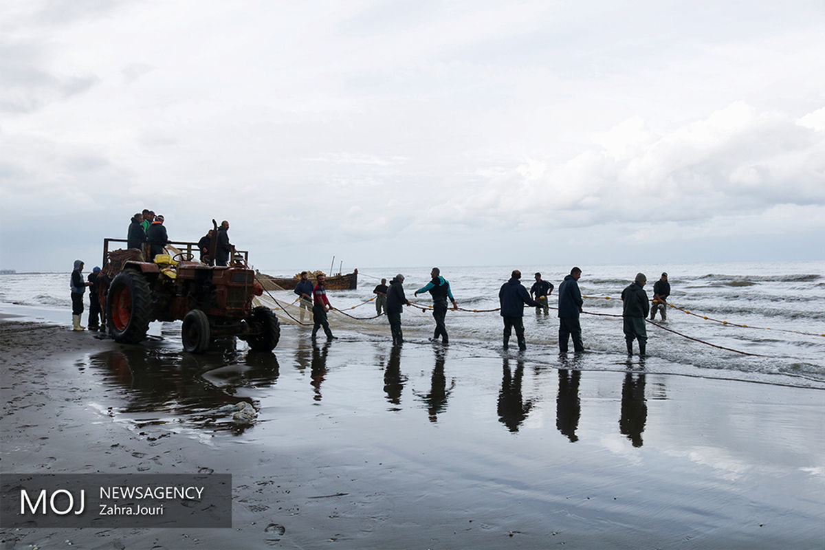 فصل صید ماهیان استخوانی دریای خزر
