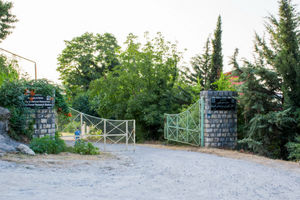 ارائه مدل مدیریت پایدار جنگل‌های شمال کشور در تعامل دولت و دانشگاه