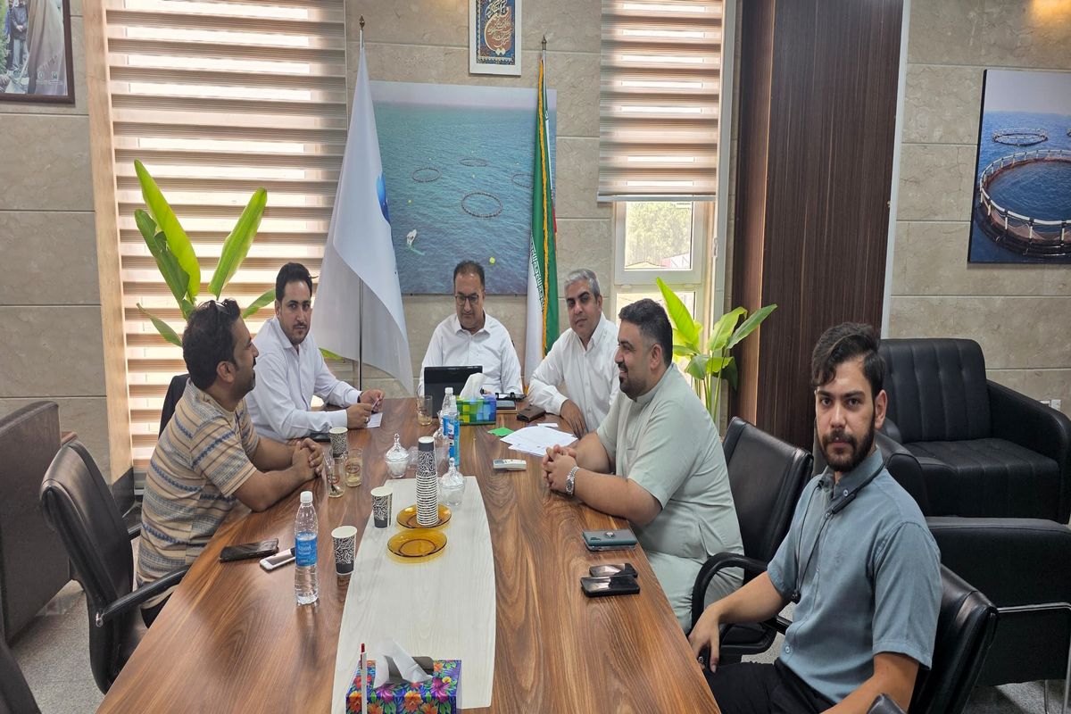 شیلات 