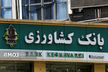 ثبت ۱۴ هزار پرونده خسارت کشاورزی در ایلام