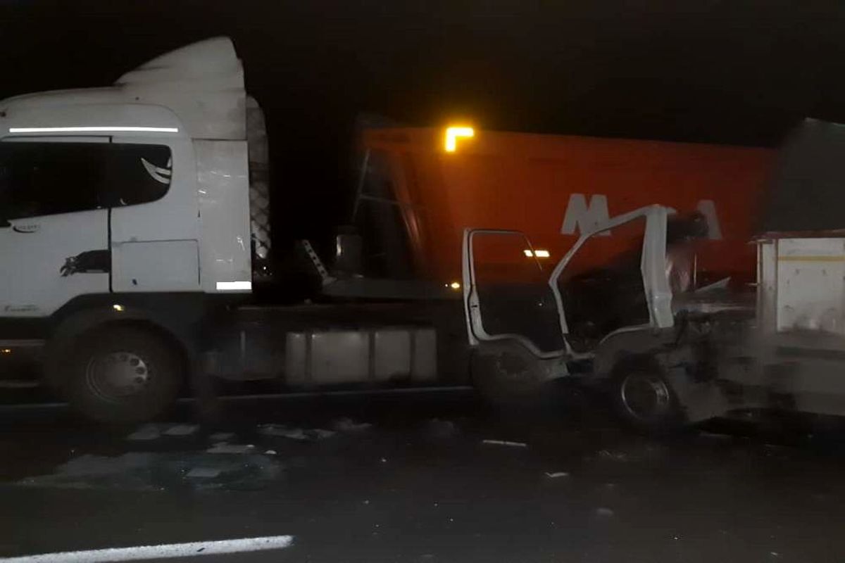 هلال احمر یزد