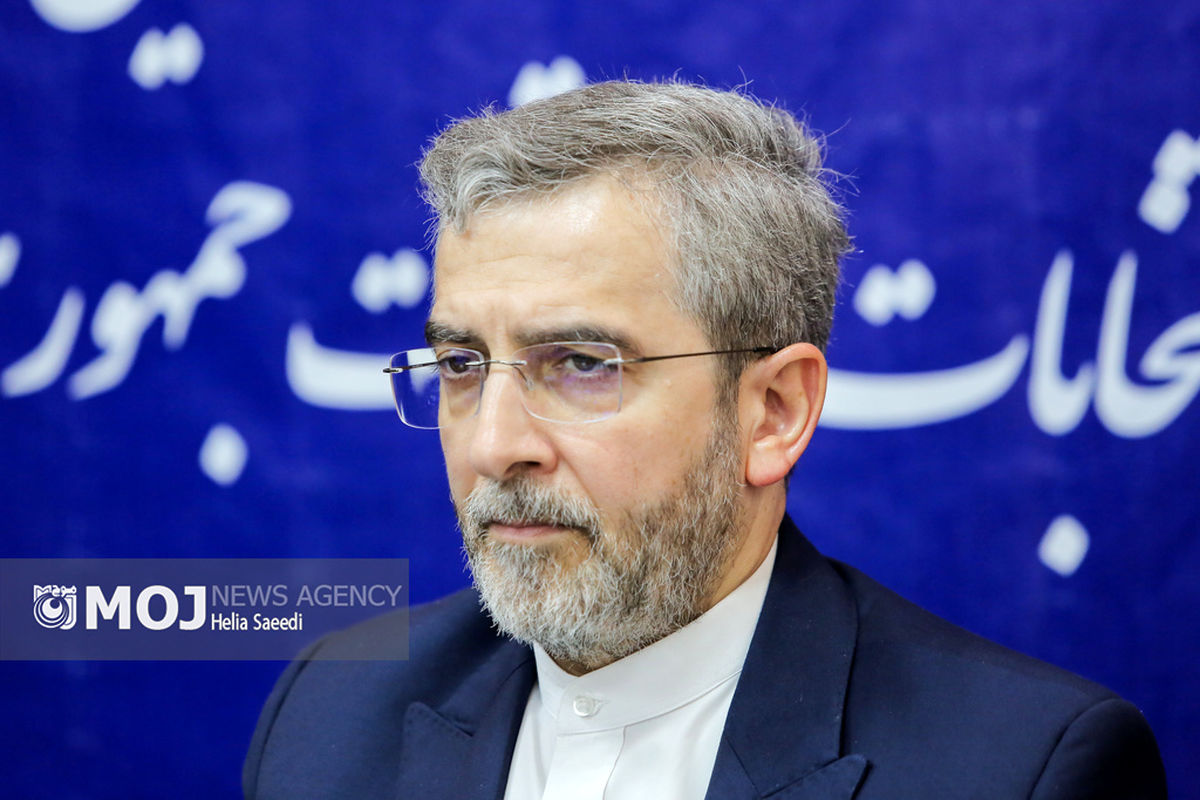 علی باقری کنی - امور خارجه