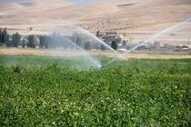 ۱۵۰۰هکتار از اراضی کشاورزی مرکزی به سیستم نوین آبیاری مجهز می شود