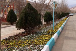 بازپیرایی پارک کوهستان یزد در حال اجرا است