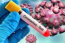 جدیدترین آمار کرونا در کشور تا ظهر ۷ تیر ۹۹/ ۶ استان در وضعیت قرمز