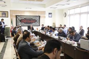 ورود افراد سودجو افزایش قیمت فرآورده‌های گوشتی را به دنبال داشته است 