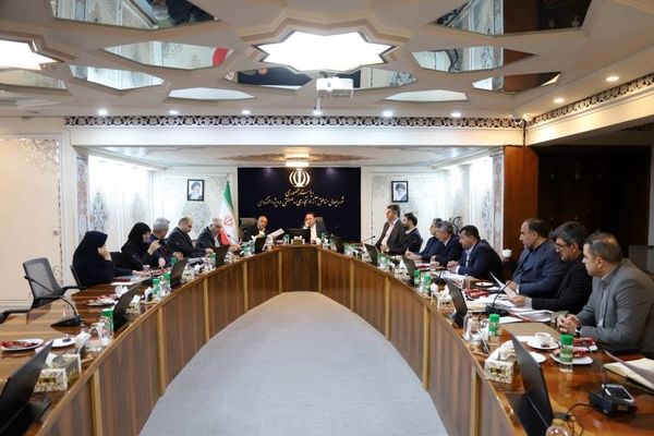 مسائل گمرکی مناطق آزاد در نشست مشترک دبیر شورای‌عالی و رئیس‌کل گمرک ایران بررسی شد