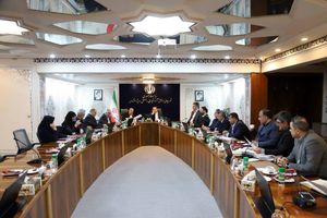 مسائل گمرکی مناطق آزاد در نشست مشترک دبیر شورای‌عالی و رئیس‌کل گمرک ایران بررسی شد