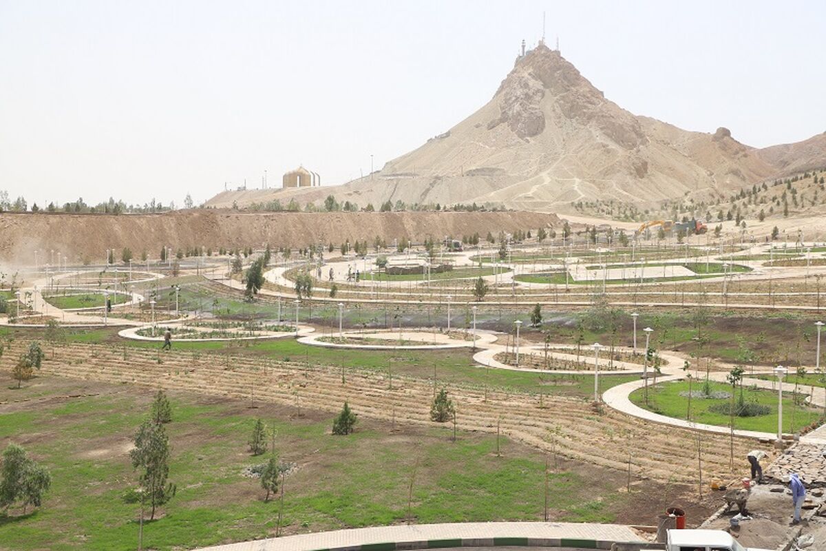 شهرداری قم