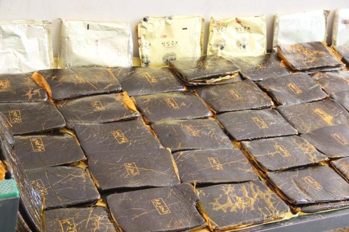 حشیش
