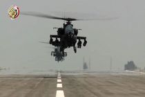 ارتش مصر 14 شبه نظامی را به قتل رساند