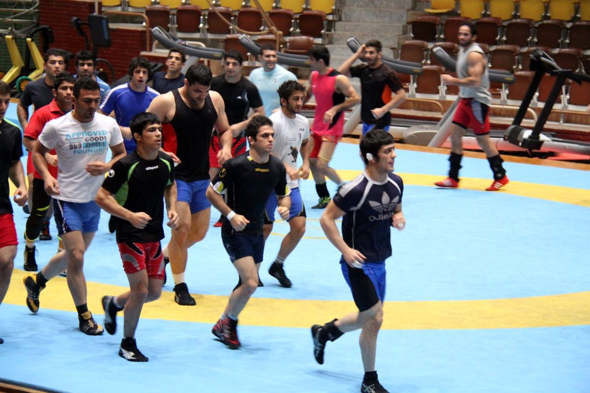 اردوی کشتی آزاد بزرگسالان