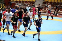 آغاز اردوی تیم ملی کشتی آزاد از امروز/ اسامی نفرات دعوت شده اعلام شد