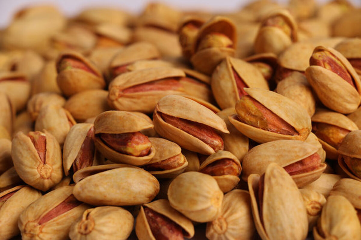 معاملات پسته