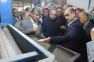 افزایش تولید برنج و پرداخت مطالبات چایکاران