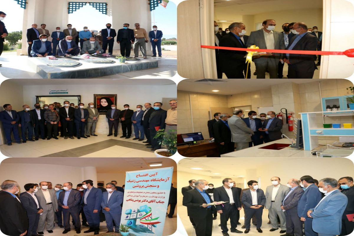 دانشگاه کاشان2