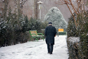 دلیل بسته شدن درهای پارک شهر به دلیل پاکسازی معابر و درختان این بوستان شهری/ به محض اتمام عملیات برف روبی درهای پارک شهر به روی مردم باز می شود