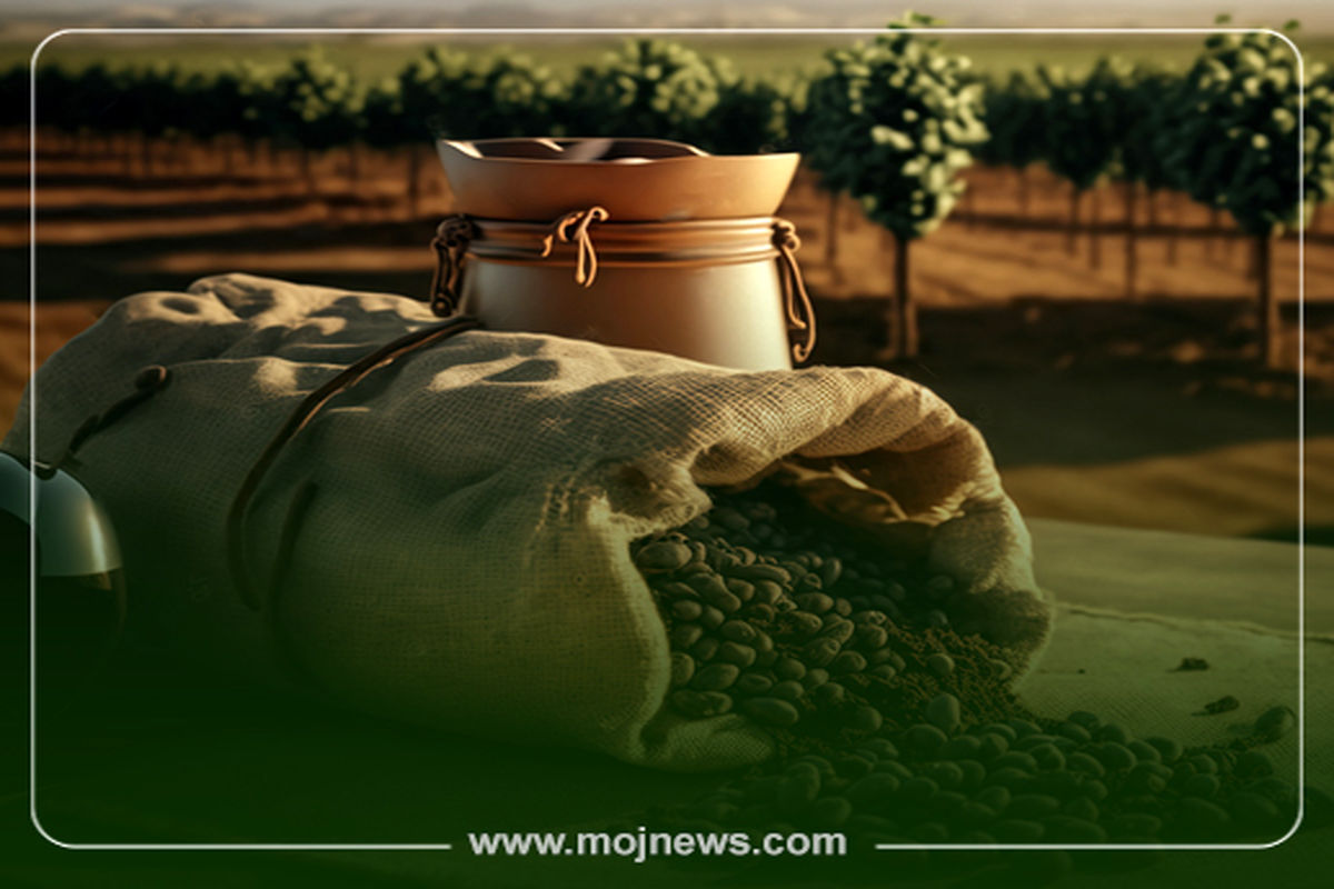 موج کاور کمربند قهوه