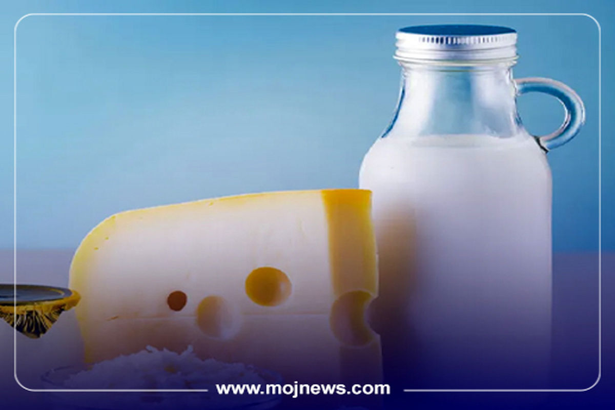 کاور لبنیات