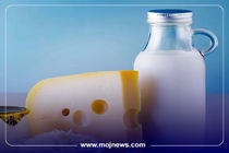 اینفوگرافیک/لبنیات در یک سال گذشته، چقدر گران شده است؟