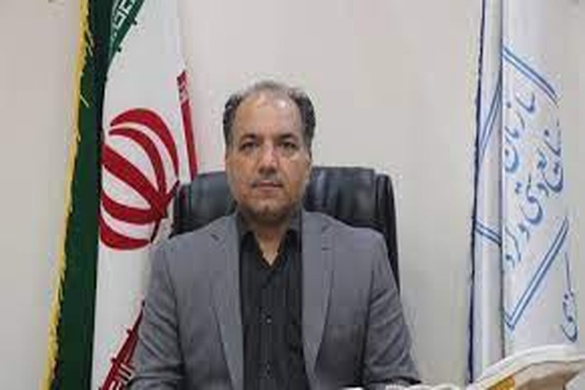 عکس مدیرصنایع دستی