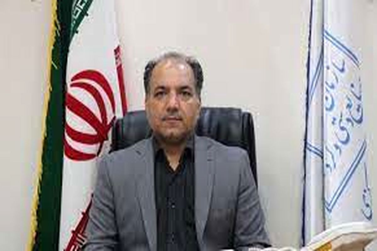 عکس مدیرصنایع دستی