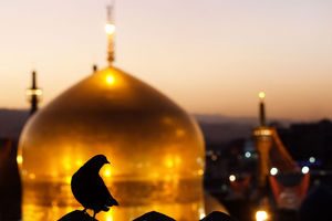 پخش ویژه برنامه کبوترانه به مناسبت ایام سوگواری پایان ماه صفر