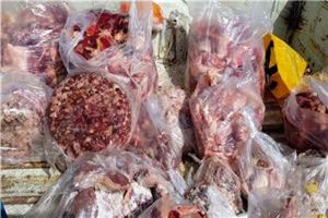 کشف 500 کیلو فرآورده های خام دامی تاریخ گذشته در آران و بیدگل