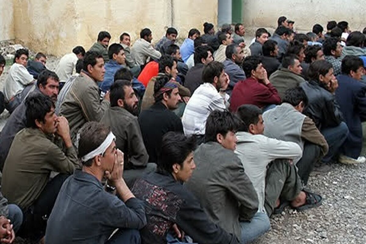 اتباع بیگانه