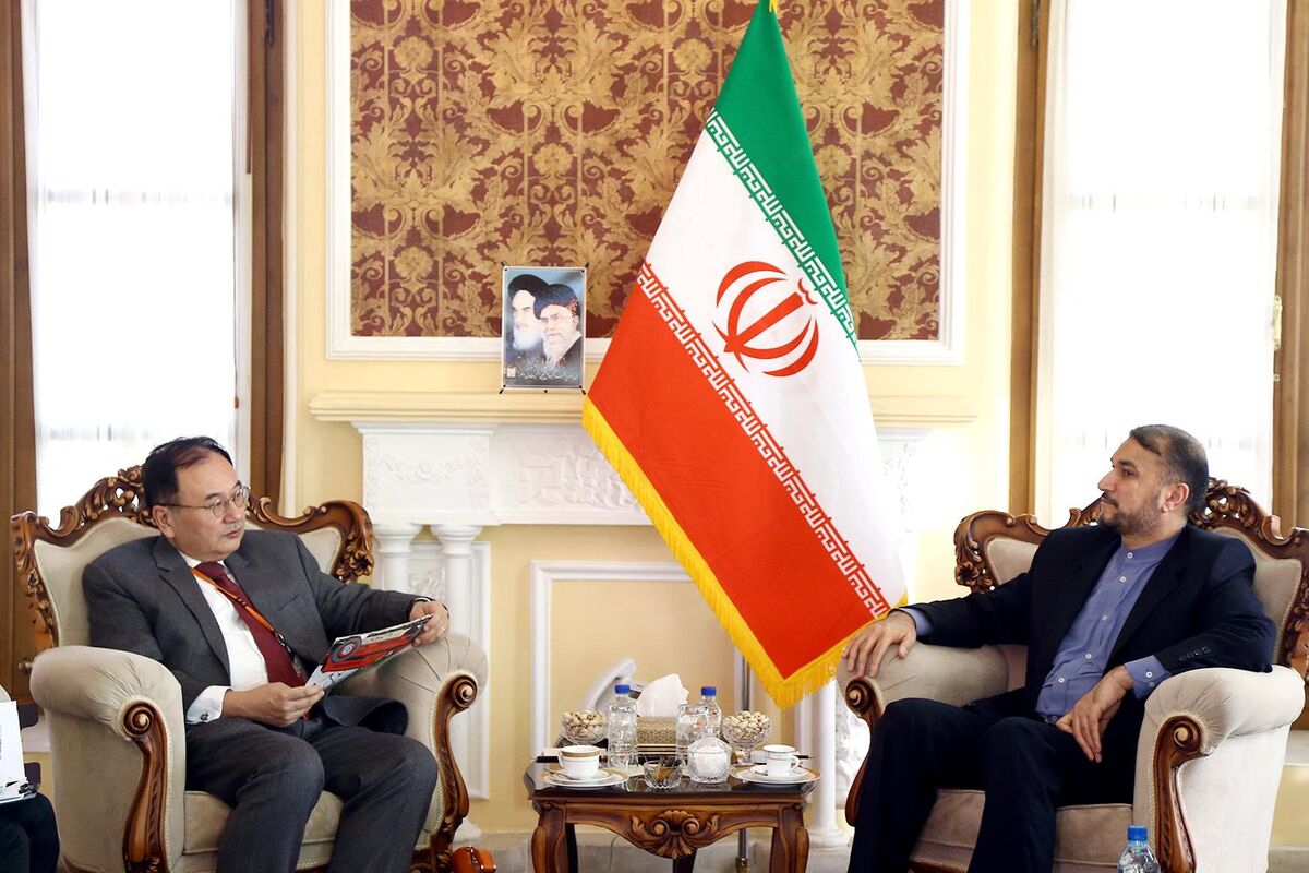 دیدار امیرعبداللهیان با سفیر ژاپن در تهران