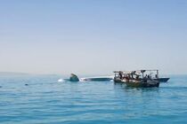 سقوط یک فروند هواپیمای آموزشی در آب‌های جزیره قشم/ سرنشینان نجات یافتند