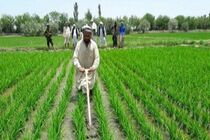  همکاری با افغانستان صرفاً یک گزینه نیست