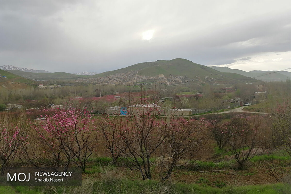 طبیعت بهاری کردستان