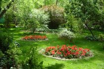 اجرای فناوری واترباکس برای توسعه فضای سبز دراصفهان