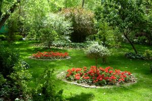 افزایش ۲۰۰ هکتاری فضای سبز در کلانشهر اصفهان