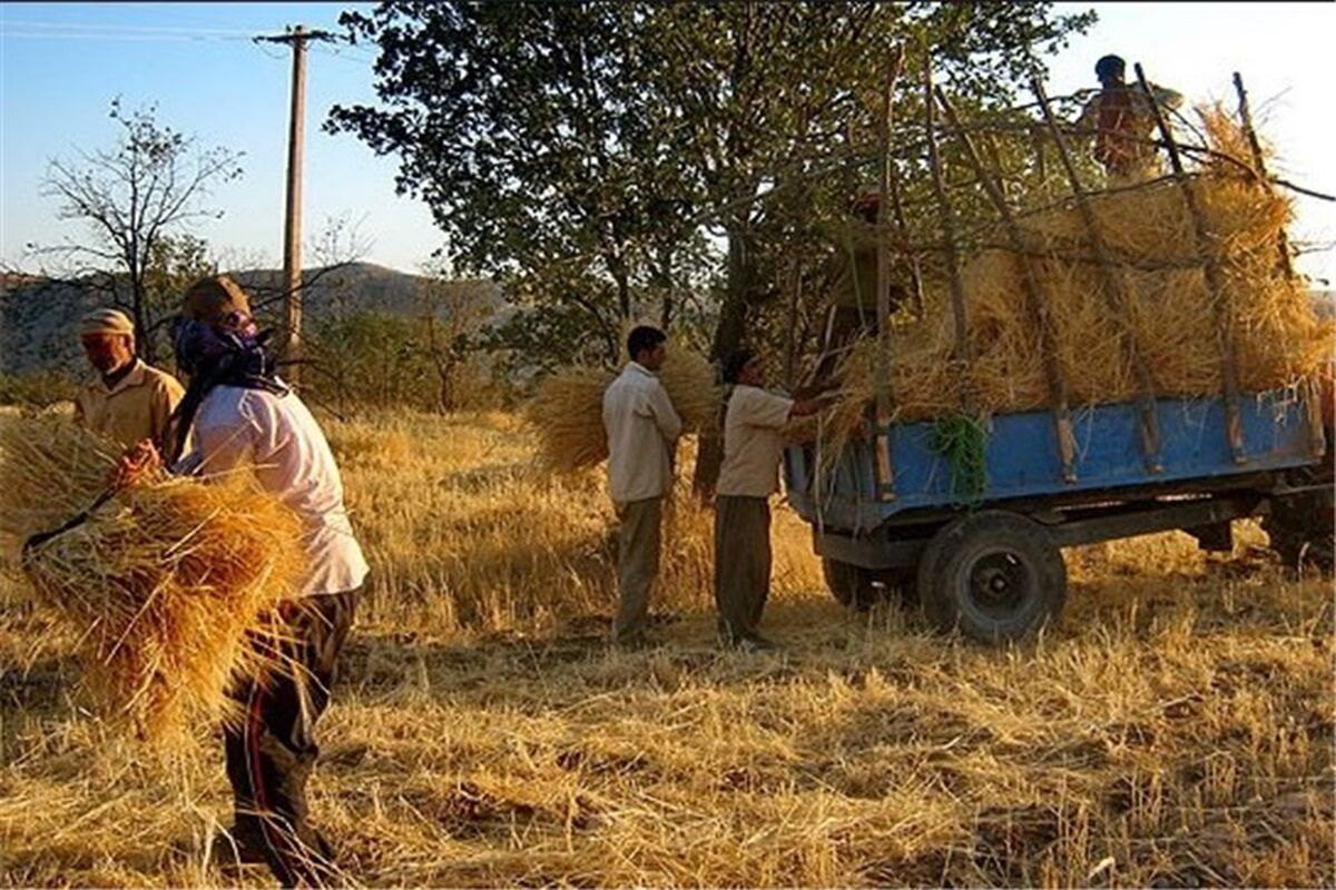 مشتریان بانک کشاورزی