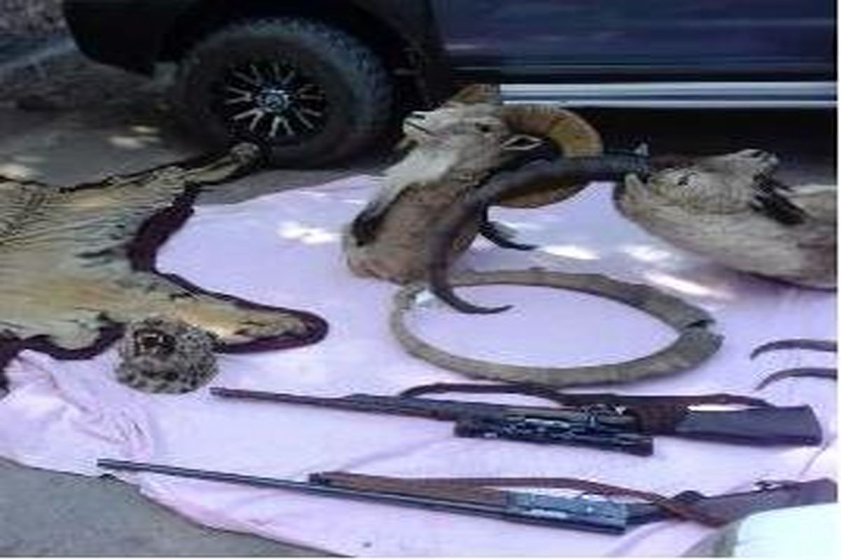 محیط زیست آمل