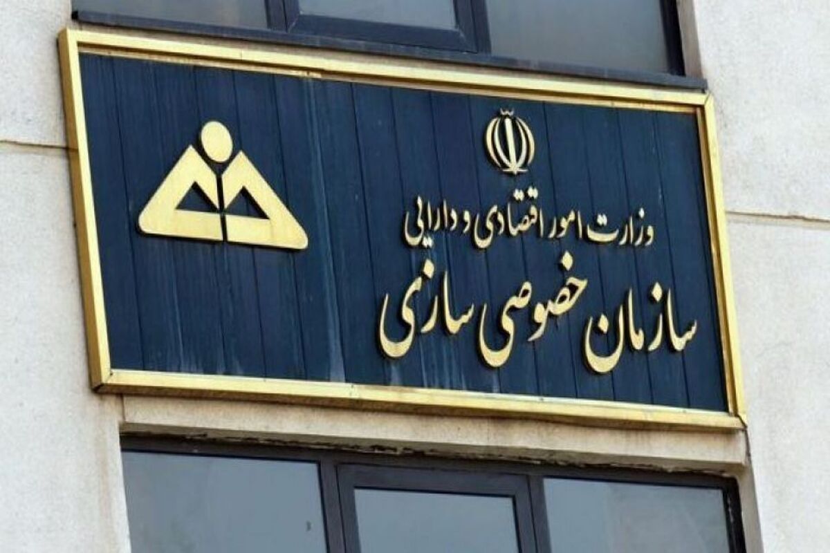 سازمان خصوص سازی