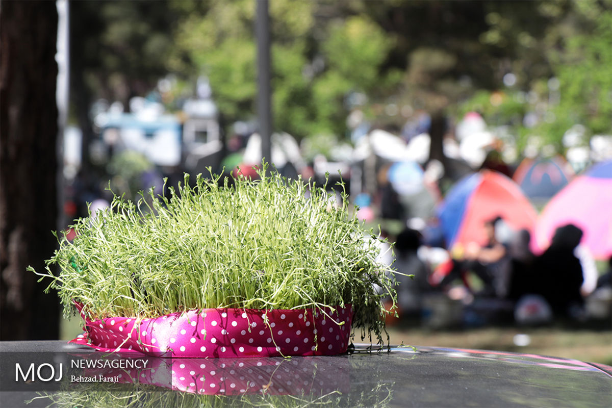 روز طبیعت در کرمانشاه