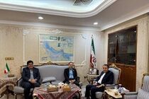 معاون وزیر بهداشت با سفیر ایران در قطر در حاشیه اجلاس سلامت روان دیدار کرد
