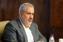 ایران به سبد تولید انرژی خود تنوع بخشیده و از ظرفیت گروه بریکس استفاده می‌کند