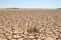 ۶ میلیارد تومان اعتبار برای مقابله با بیابان‌زایی در استان گلستان تصویب شد