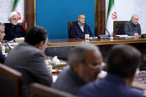 برگزاری نشست شورای‌عالی هماهنگی اقتصادی به میزبانی پزشکیان