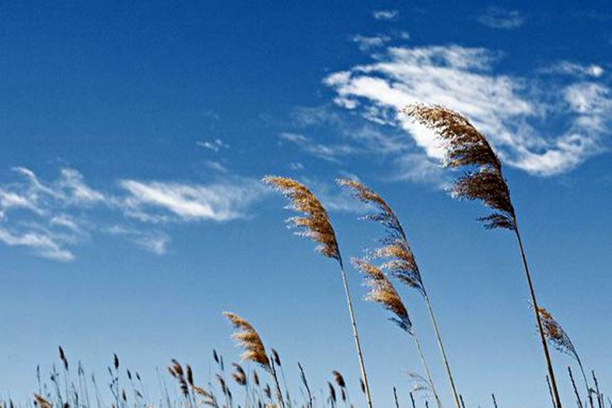 وزش باد در خراسان رضوی